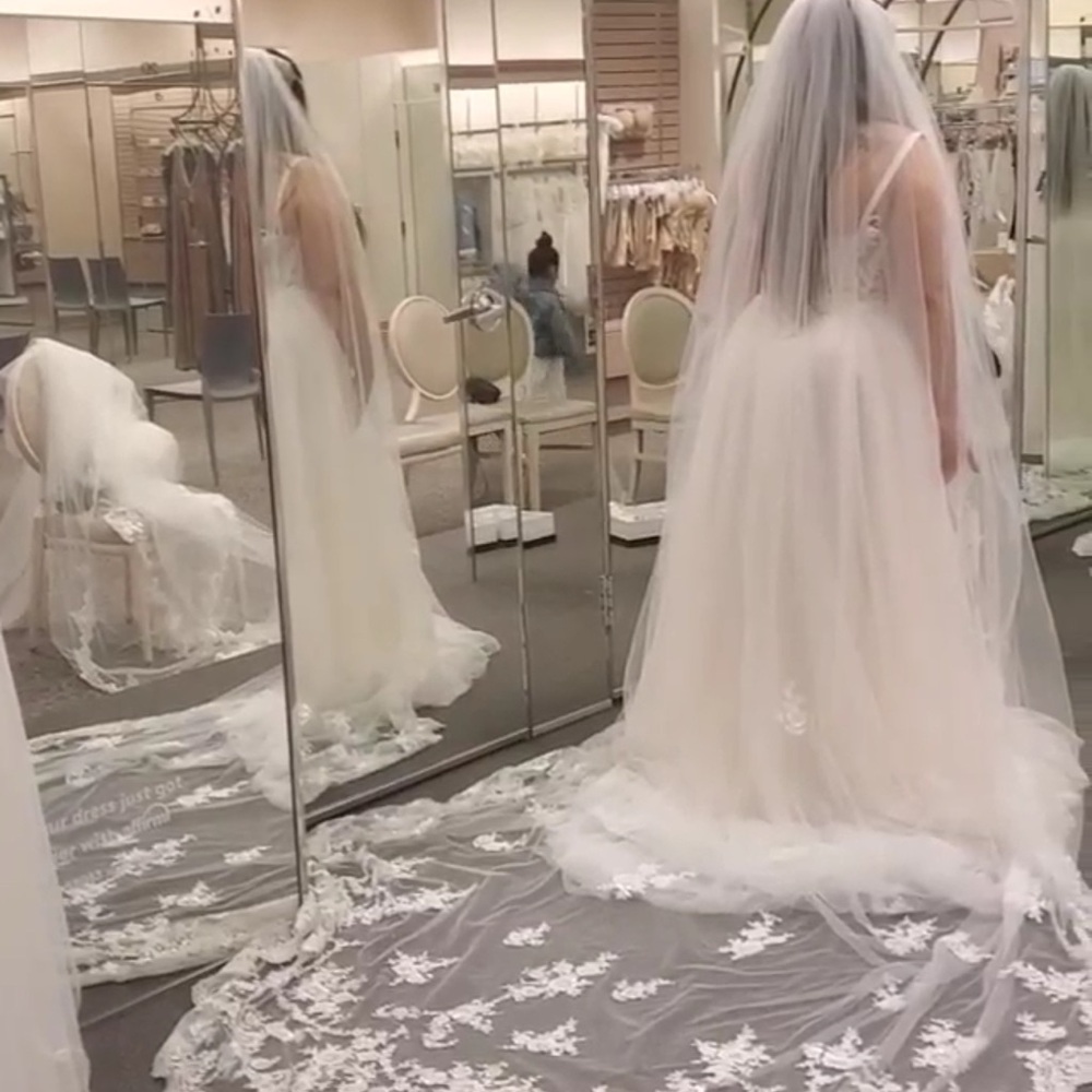 David's Bridal Ivory Lace Cathedral Wedding Veil